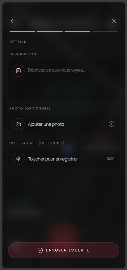 Détails — photo, vocal, description